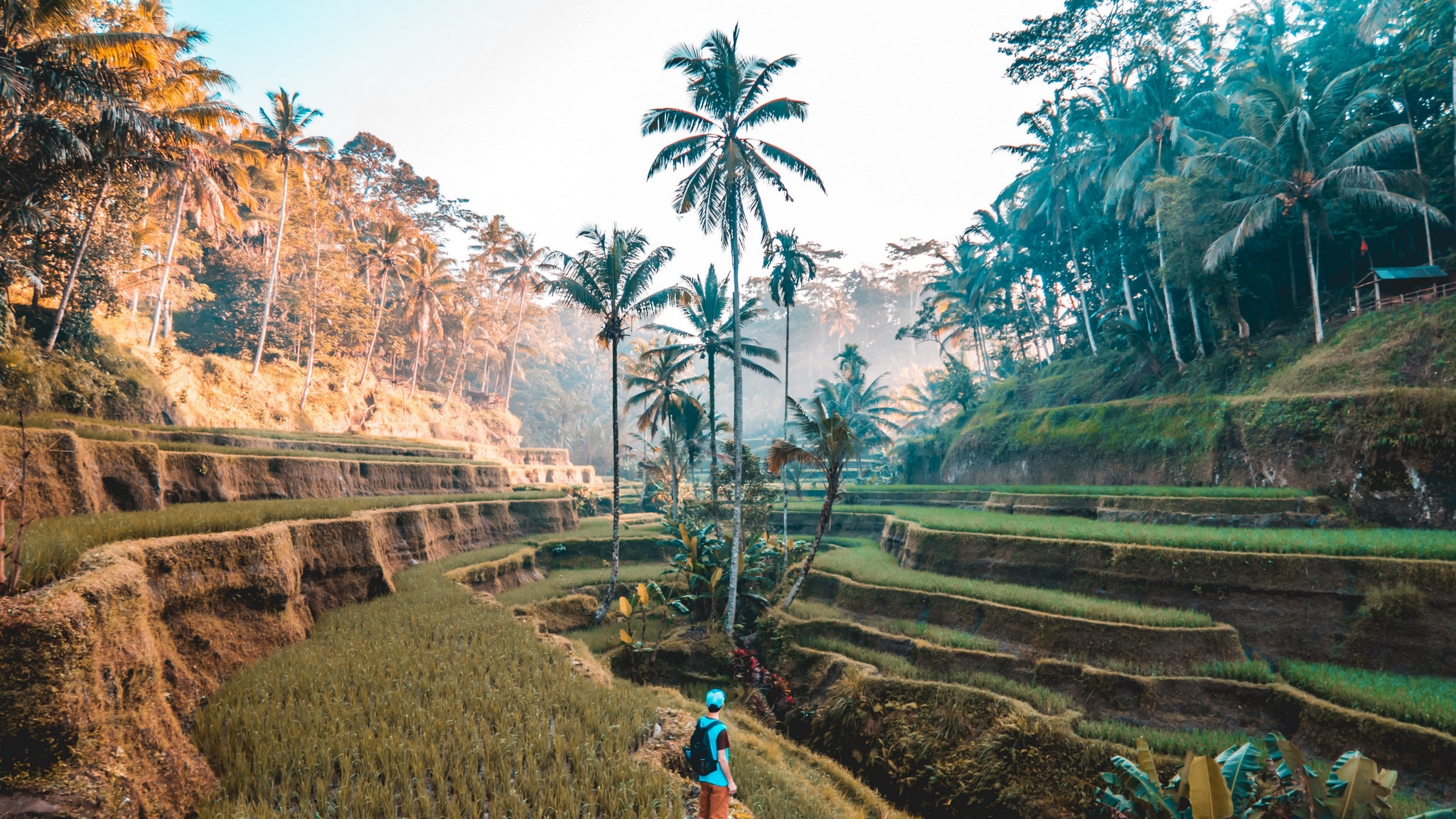 bali3.jpg